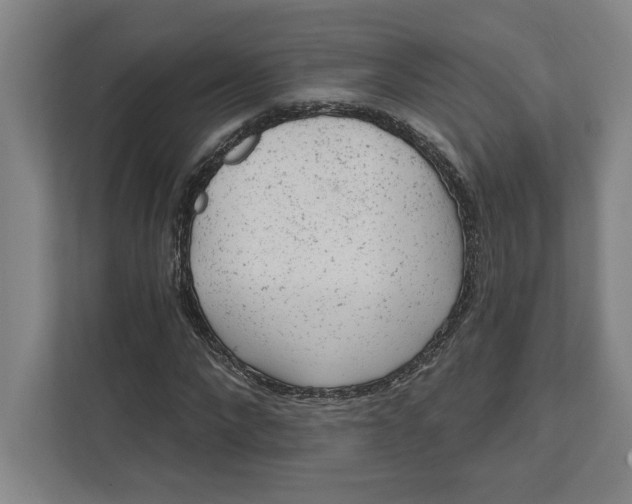 X0000111940872200908101200