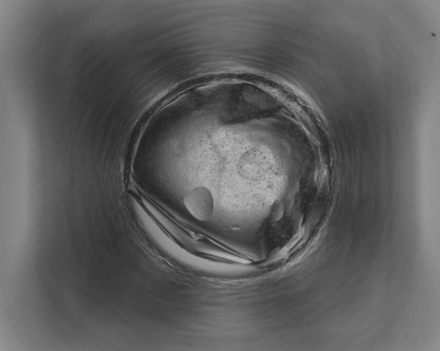 X0000111940873200908101200