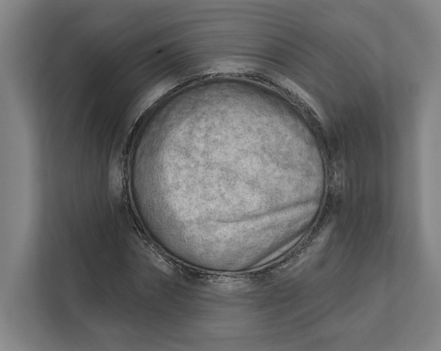 X0000111940874200908101200