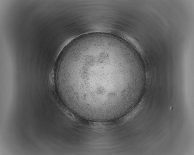 X0000111940875200908101200