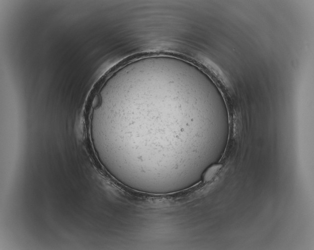 X0000111940876200908101200