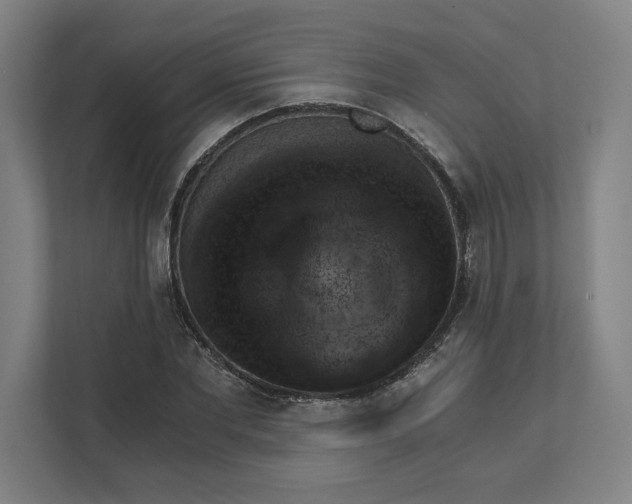 X0000111940877200908101200