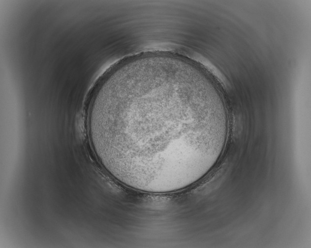 X0000111940878200908101200