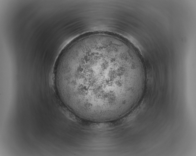 X0000111940879200908101200