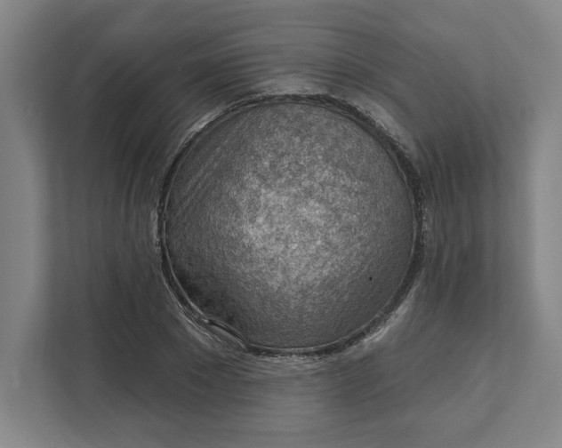 X0000111940881200908101159