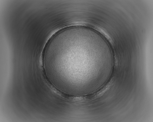 X0000111940883200908101159