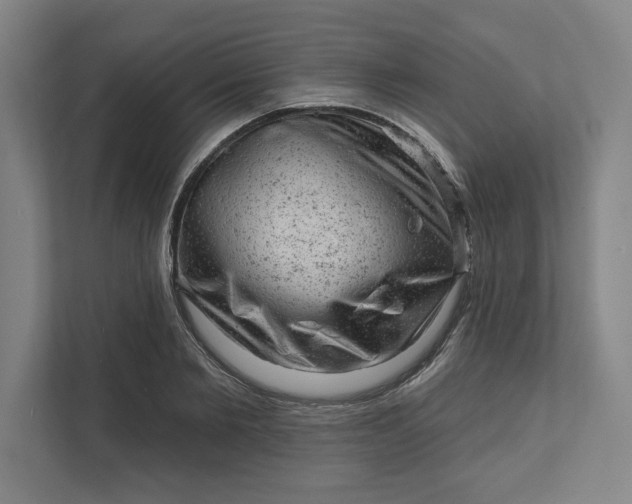 X0000111940885200908101159