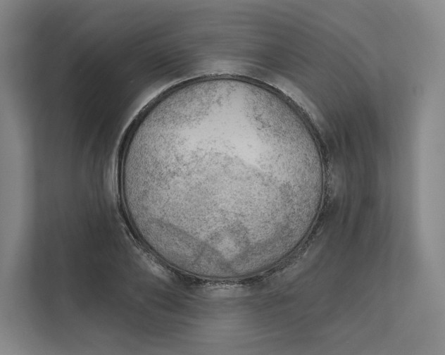 X0000111940886200908101159