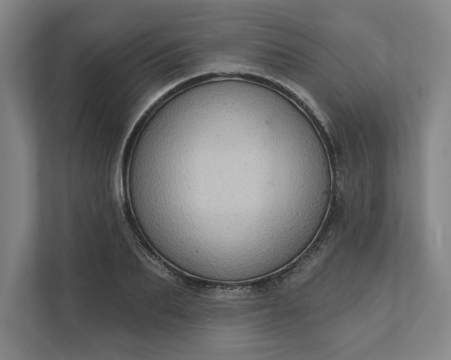 X0000111940887200908101159