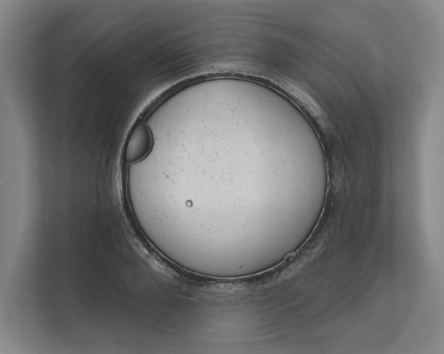 X0000111940888200908101159