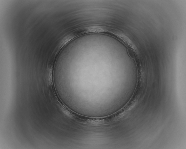 X0000111940889200908101159