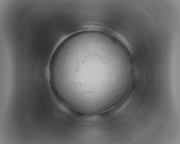 X0000111940891200908101159