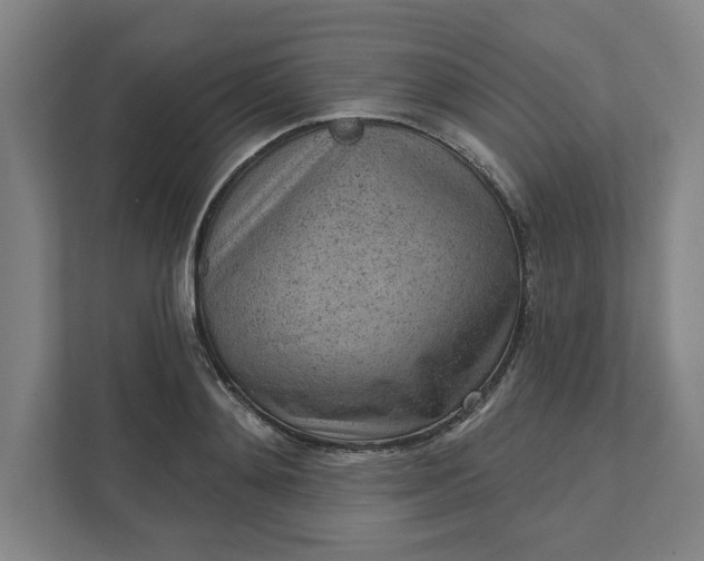 X0000111940892200908101159