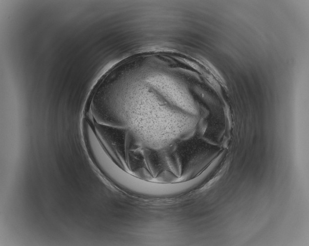 X0000111940893200908101159