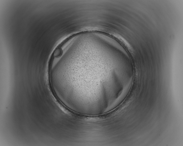 X0000111940894200908101159