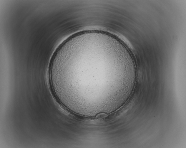 X0000111940895200908101159