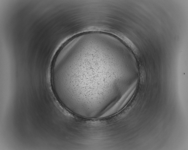 X0000111940896200908101159