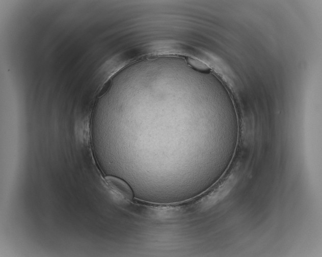 X0000111940897200908101159