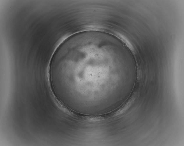 X0000111940899200908101159