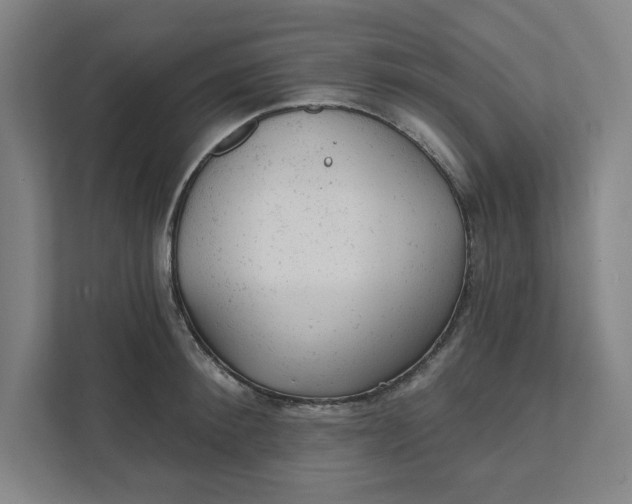 X0000111940900200908101159