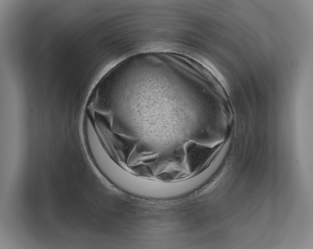 X0000111940901200908101159