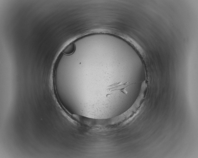 X0000111940902200908101159