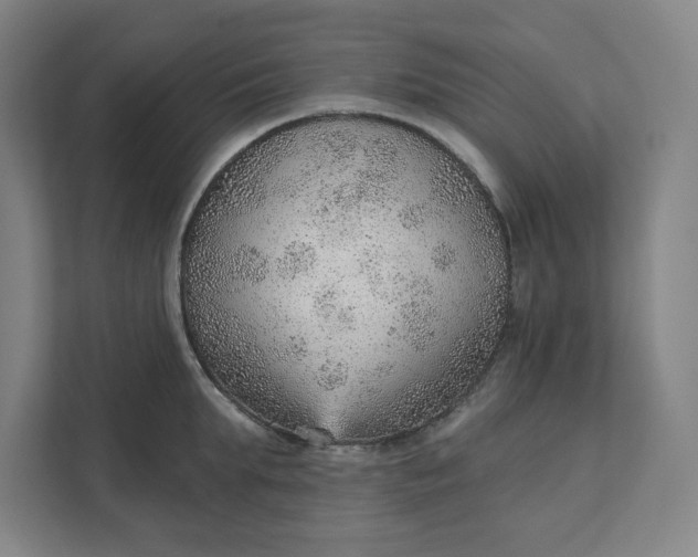 X0000111940903200908101159