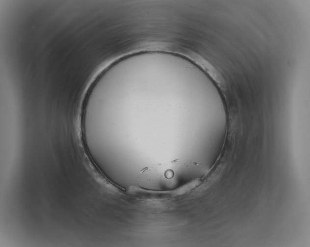 X0000111940904200908101159