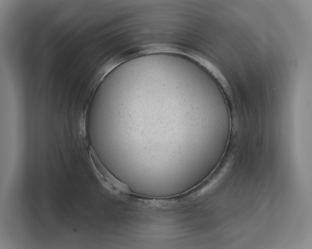 X0000111940905200908101159