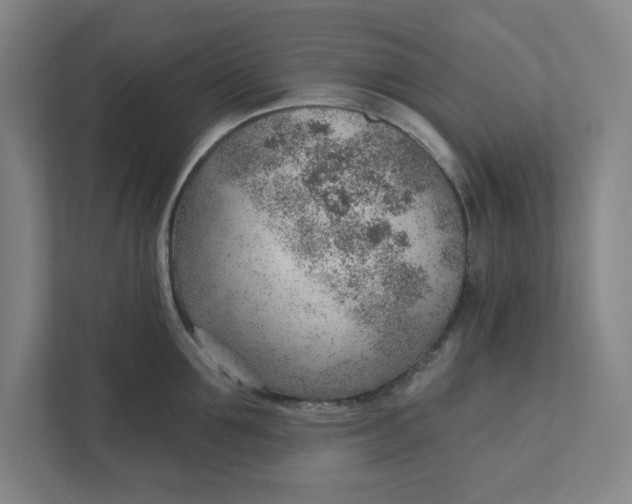 X0000111940907200908101159