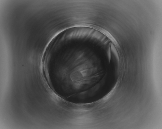 X0000111940908200908101159