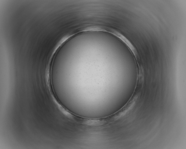 X0000111940909200908101159