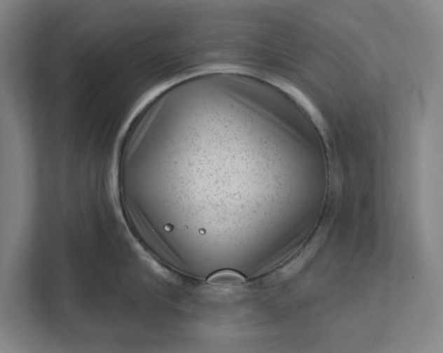 X0000111940910200908101159