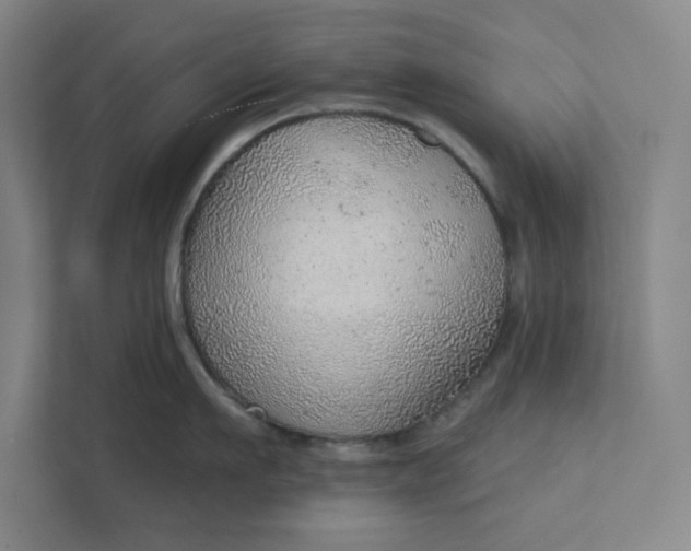 X0000111940911200908101159