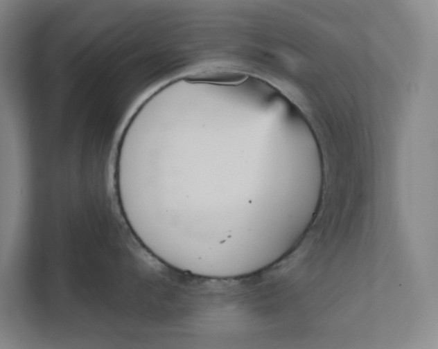 X0000111940912200908101159