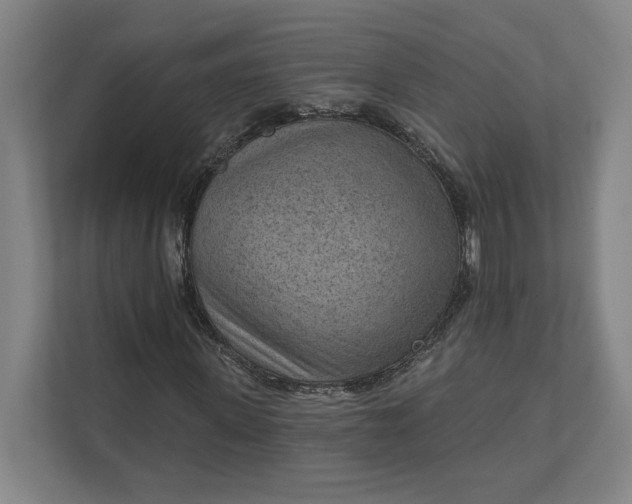 X0000111940915200908101158