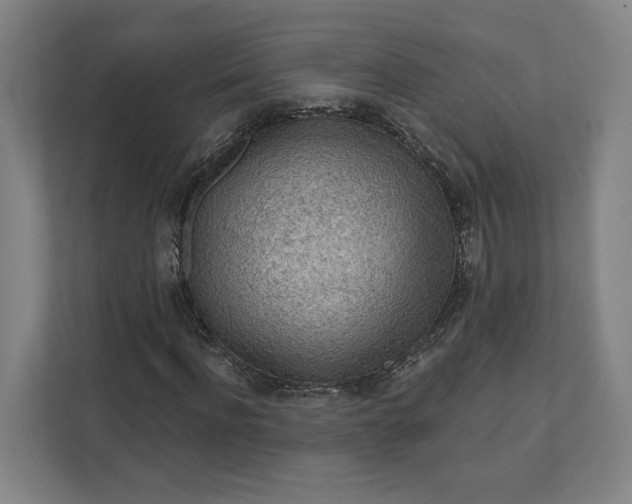 X0000111940916200908101158