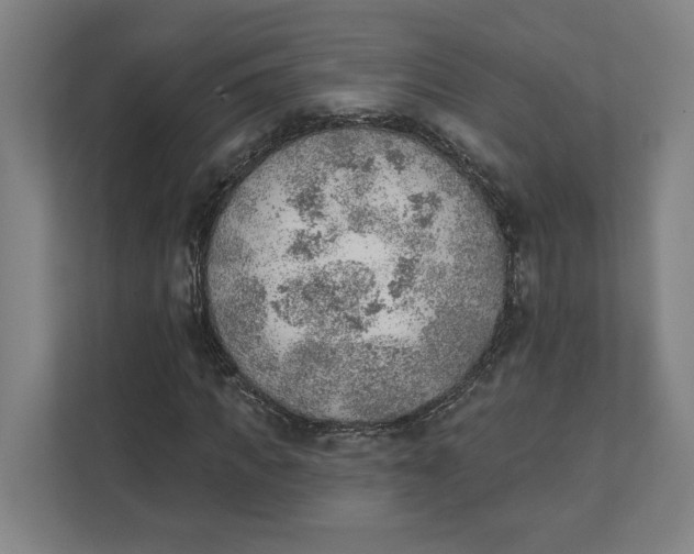 X0000111940917200908101159