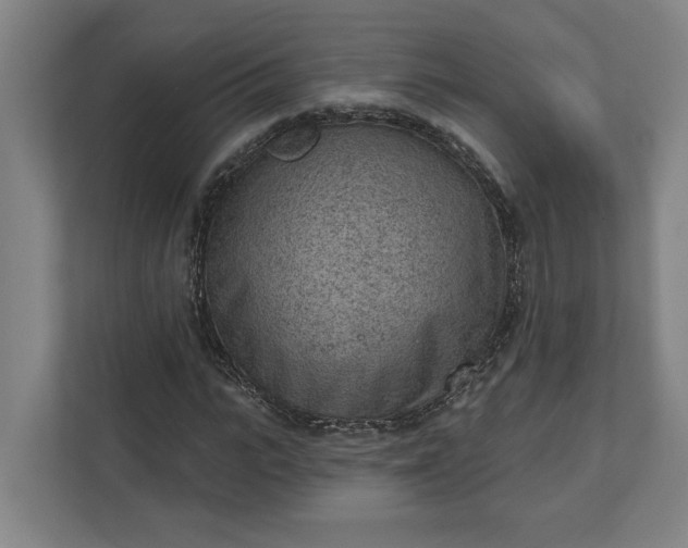 X0000111940919200908101159