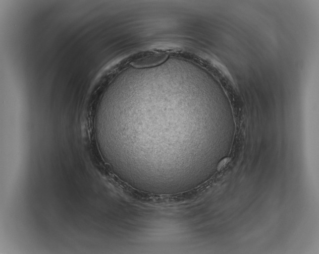 X0000111940920200908101159