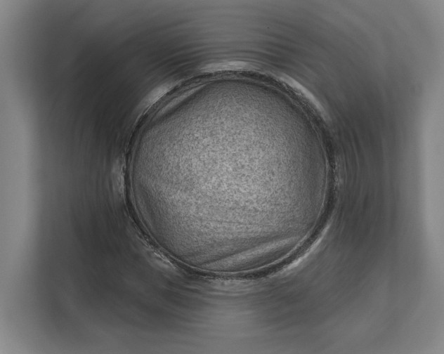 X0000111940921200908101159