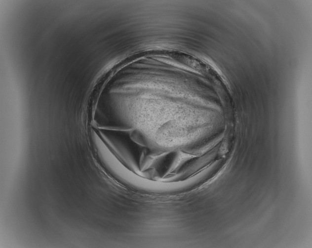 X0000111940922200908101159