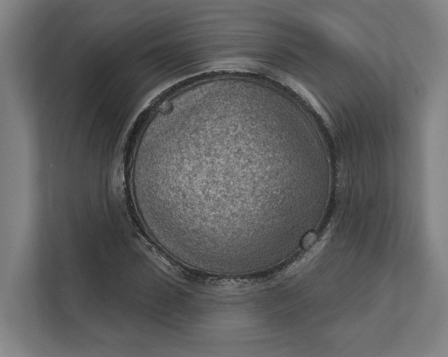 X0000111940923200908101159