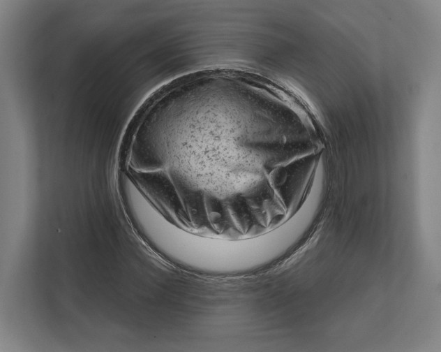 X0000111940924200908101159