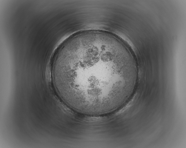 X0000111940925200908101159