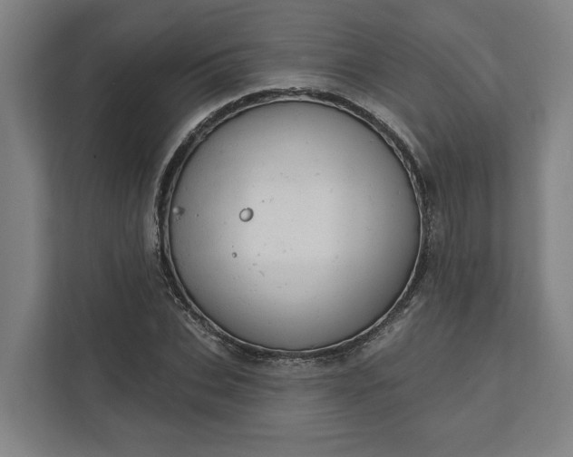 X0000111940927200908101159