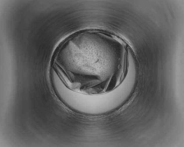 X0000111940928200908101159