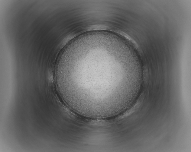 X0000111940929200908101159