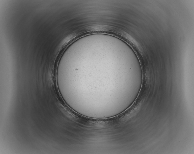 X0000111940930200908101159