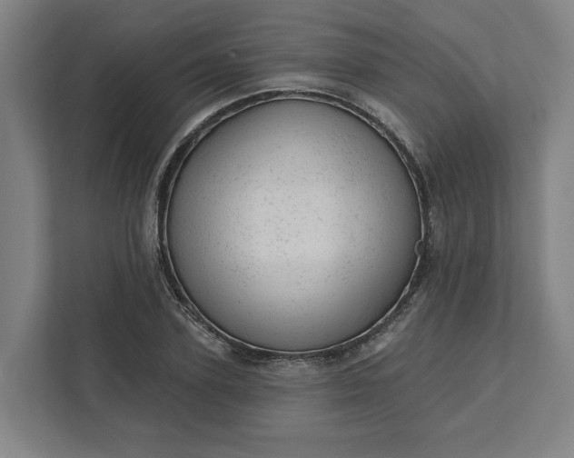 X0000111940931200908101159